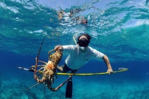 Lobster-Fishing-